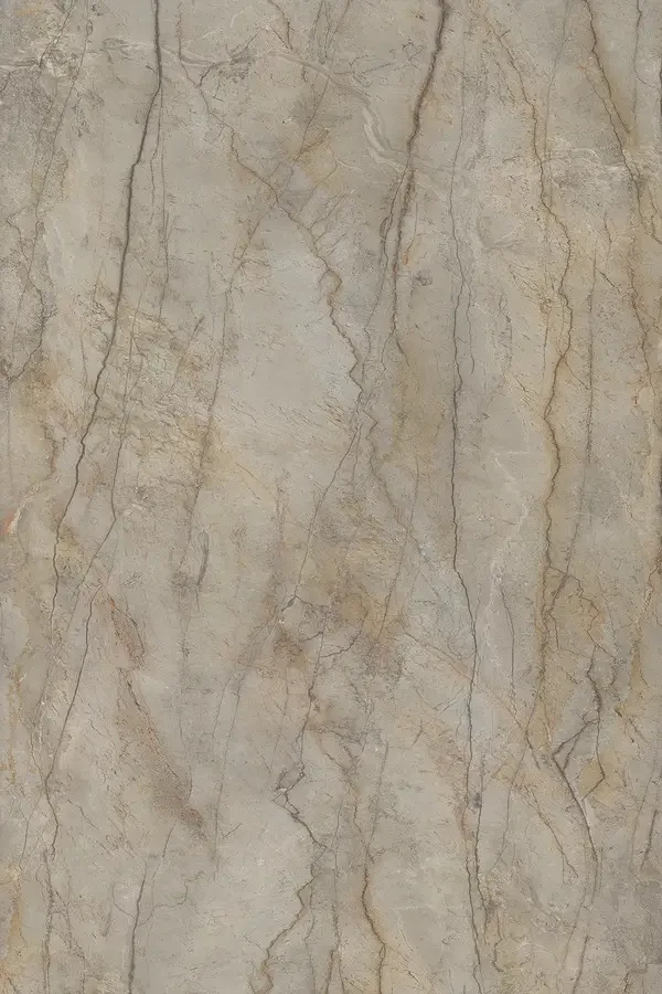 silver root